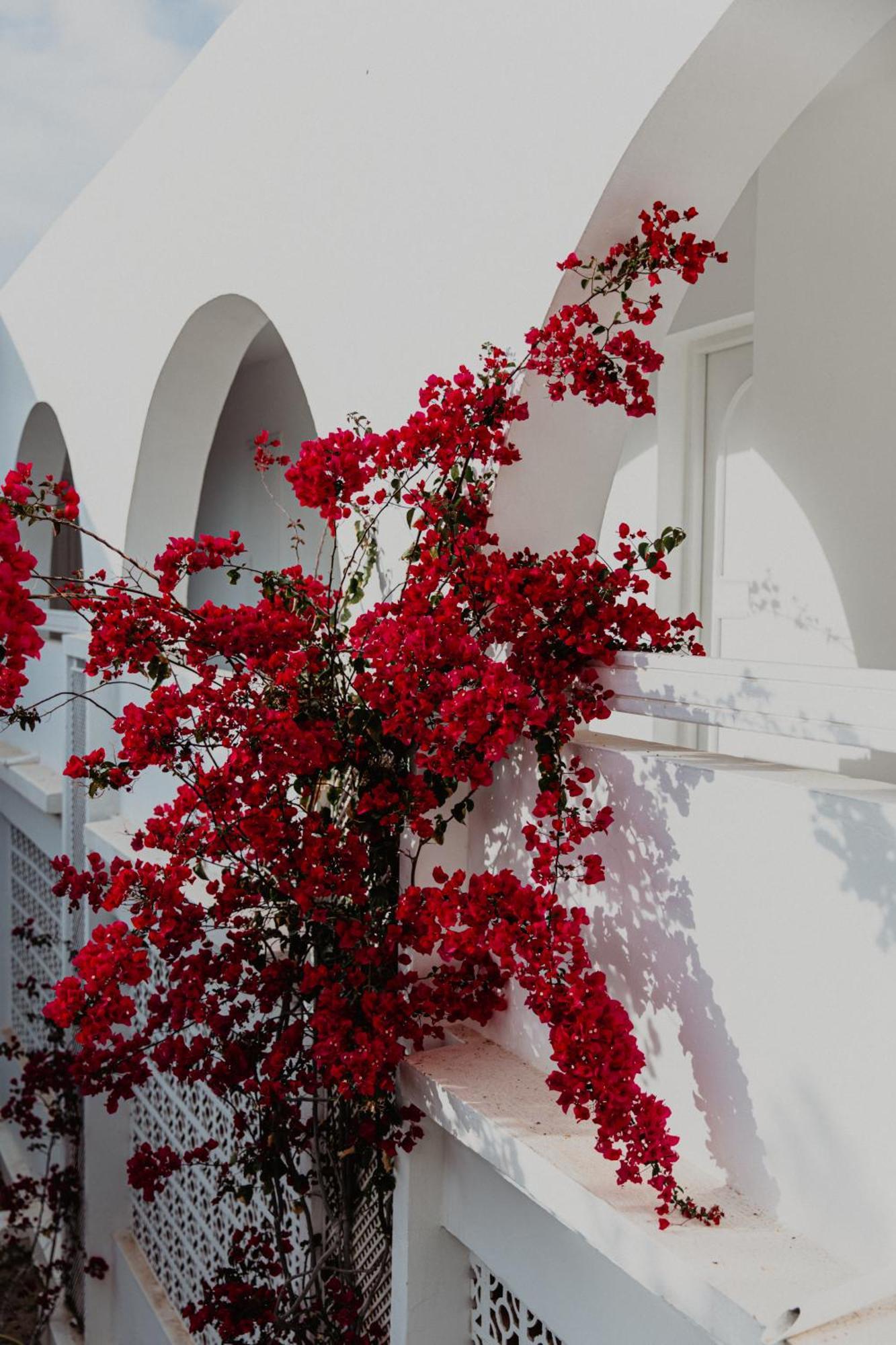 Hotel Bougainvillier Djerba Taguermess Exterior foto